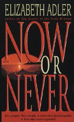 Maintenant ou jamais - Un roman - Now or Never - A Novel