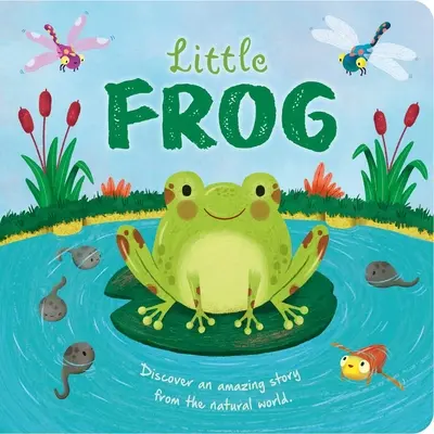 Histoires de la nature : La petite grenouille : livre de planches rembourré - Nature Stories: Little Frog: Padded Board Book