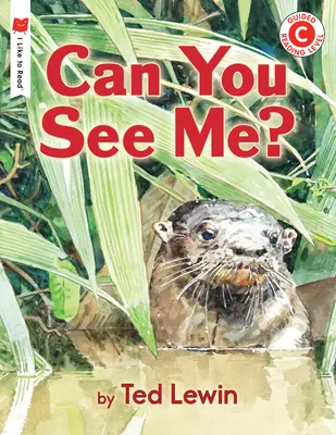 Peux-tu me voir ? - Can You See Me?