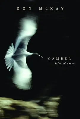 Cambrure - Camber