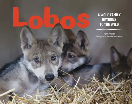 Lobos : Une famille de loups retourne à la vie sauvage - Lobos: A Wolf Family Returns to the Wild