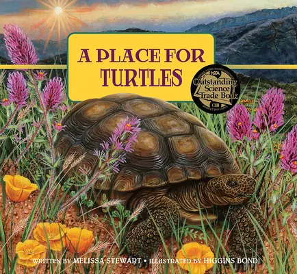 Une place pour les tortues - A Place for Turtles