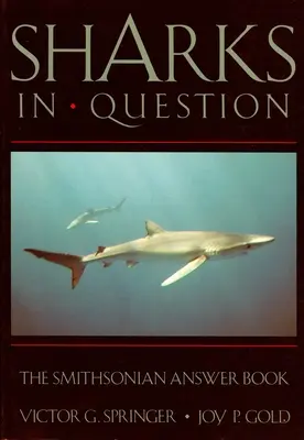 Les requins en question - Sharks in Question