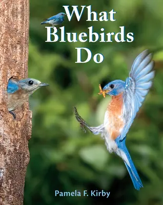 Ce que font les oiseaux bleus - What Bluebirds Do