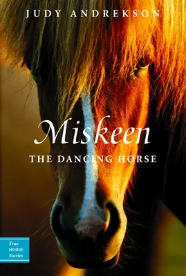 Miskeen - Le cheval dansant - Miskeen - The Dancing Horse