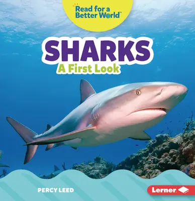 Les requins : Un premier regard - Sharks: A First Look