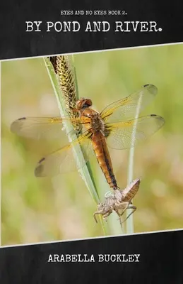 Au bord de l'étang et de la rivière - By Pond and River