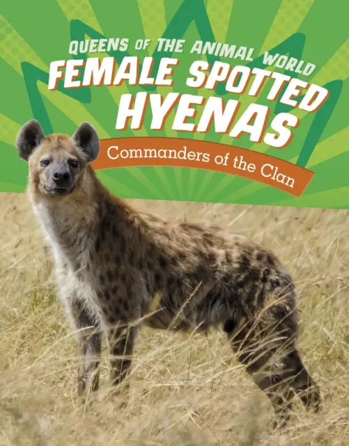 Hyènes tachetées femelles - Commandants du clan - Female Spotted Hyenas - Commanders of the Clan