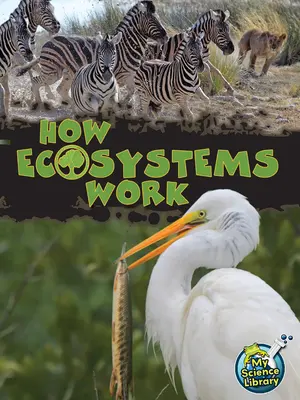 Comment fonctionnent les écosystèmes - How Ecosystems Work