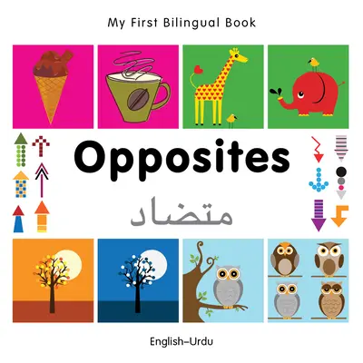 Mon premier livre bilingue-Opposites (anglais-ourdou) - My First Bilingual Book-Opposites (English-Urdu)