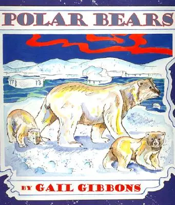 Ours polaire - Polar Bears