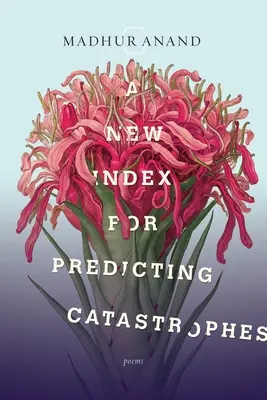 Un nouvel indice pour prédire les catastrophes - A New Index for Predicting Catastrophes