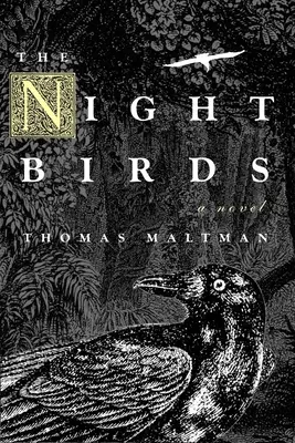 Les oiseaux de nuit - The Night Birds