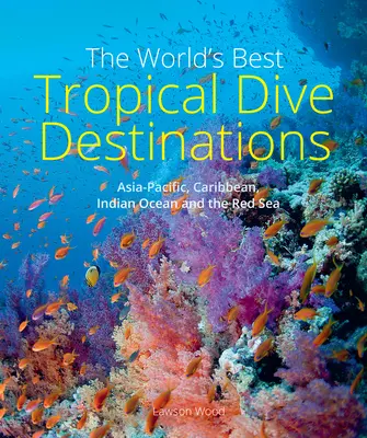 Les meilleures destinations de plongée tropicale au monde - The World's Best Tropical Dive Destinations