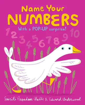 Nommez vos numéros - Name Your Numbers