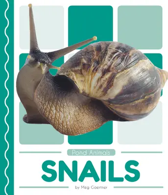 Escargots - Snails