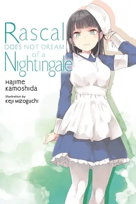 Rascal ne rêve pas d'un rossignol (Light Novel) - Rascal Does Not Dream of a Nightingale (Light Novel)