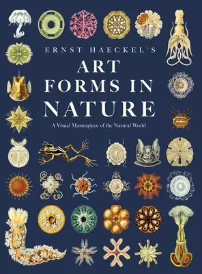 Les formes artistiques dans la nature d'Ernst Haeckel : Un chef-d'œuvre visuel du monde naturel - Ernst Haeckel's Art Forms in Nature: A Visual Masterpiece of the Natural World