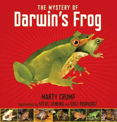 Le mystère de la grenouille de Darwin - The Mystery of Darwin's Frog
