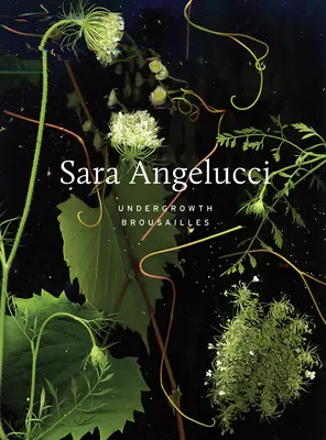 Sara Angelucci : Sous-bois / Broussailles - Sara Angelucci: Undergrowth / Broussailles