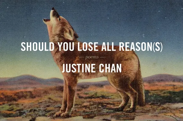 Faut-il perdre toute raison ? - Should You Lose All Reason(s)