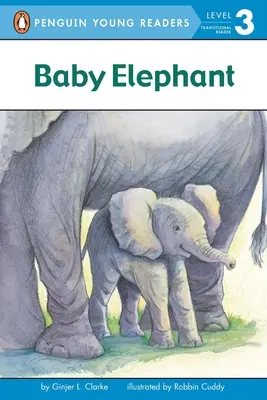 Bébé éléphant - Baby Elephant