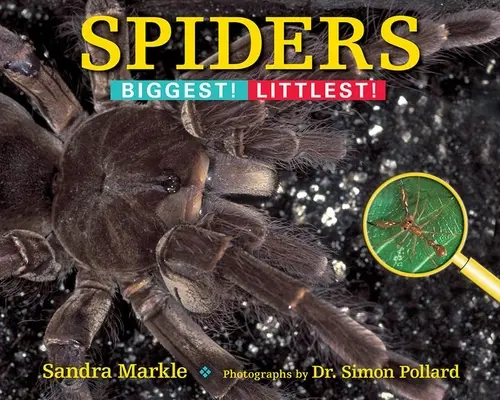 Les araignées : Les plus grandes ! Les plus petites ! - Spiders: Biggest! Littlest!