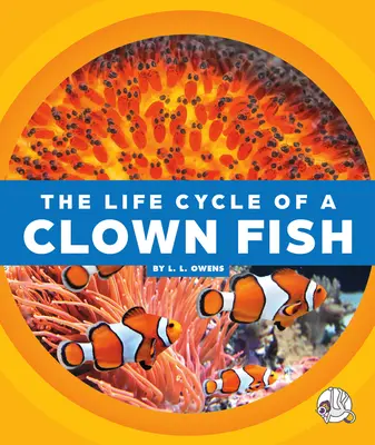 Le cycle de vie d'un poisson clown - The Life Cycle of a Clown Fish