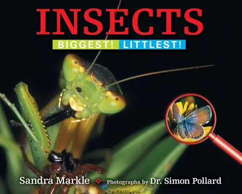 Insectes : Les plus gros ! Les plus petits ! - Insects: Biggest! Littlest!