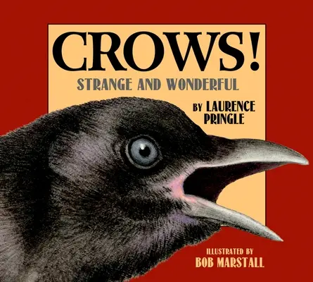 Les corbeaux ! Étrange et merveilleux - Crows!: Strange and Wonderful