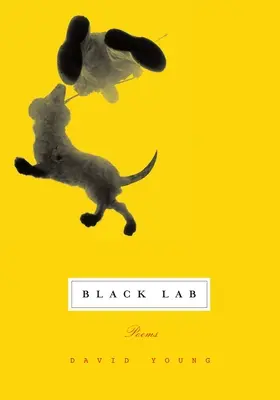 Black Lab : Poèmes - Black Lab: Poems