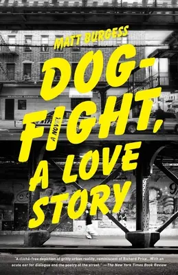 Dogfight, une histoire d'amour - Dogfight, a Love Story