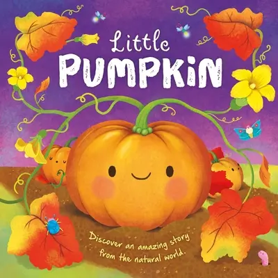 Histoires de la nature : Petite citrouille : Livre en carton matelassé - Nature Stories: Little Pumpkin: Padded Board Book