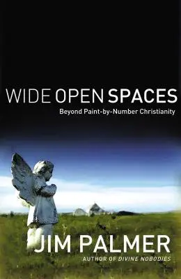 Les grands espaces : Au-delà du christianisme à la carte - Wide Open Spaces: Beyond Paint-By-Number Christianity