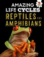 Reptiles et amphibiens - Des cycles de vie étonnants - Reptiles and Amphibians - Amazing Life Cycles