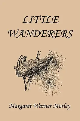 Les petits vagabonds, édition illustrée (Classiques d'hier) - Little Wanderers, Illustrated Edition (Yesterday's Classics)