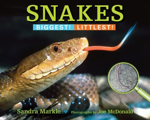 Les serpents : Les plus gros ! Les plus petits ! - Snakes: Biggest! Littlest!