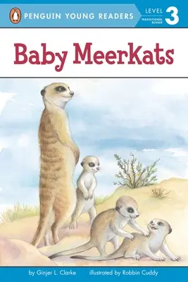 Bébés suricates - Baby Meerkats