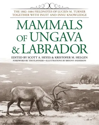 Mammifères de l'Ungava et du Labrador : The 1882-1884 Fieldnotes of Lucien M. Turner Together with Inuit and Innu Knowledge (Les notes de terrain de Lucien M. Turner de 1882 à 1884 ainsi que les connaissances des Inuits et des Innus) - Mammals of Ungava & Labrador: The 1882-1884 Fieldnotes of Lucien M. Turner Together with Inuit and Innu Knowledge