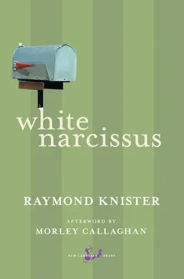 Narcisse blanc - White Narcissus