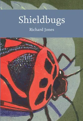 Les punaises de bouclier - Shieldbugs