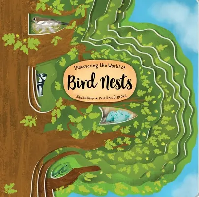 Découvrir le monde des nids d'oiseaux - Discovering the World of Bird Nests