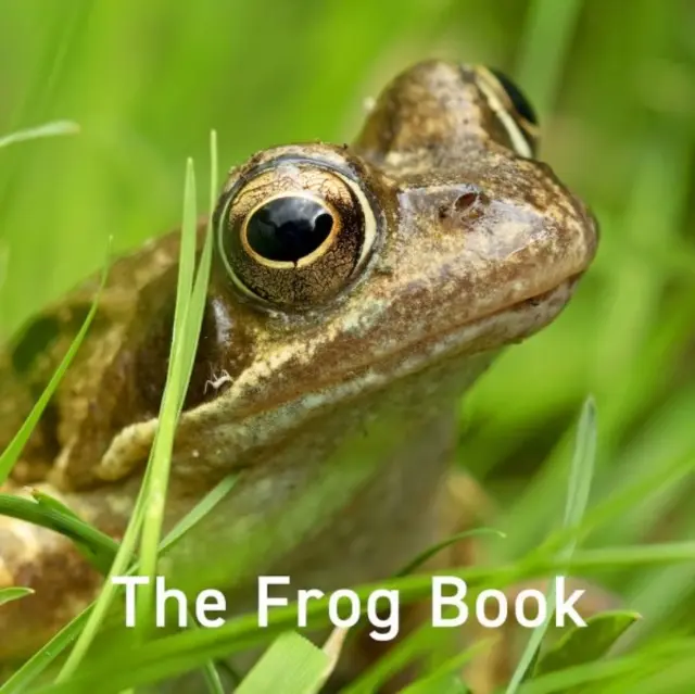 Livre de la grenouille - Frog Book