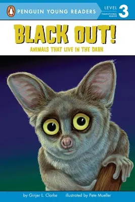 Black Out ! Les animaux qui vivent dans l'obscurité - Black Out!: Animals That Live in the Dark