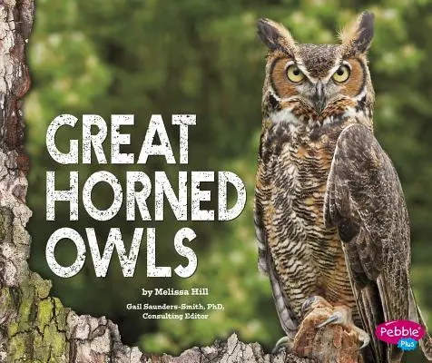 Chouettes et hiboux - Great Horned Owls