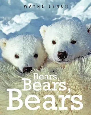 Les ours, les ours, les ours - Bears, Bears, Bears