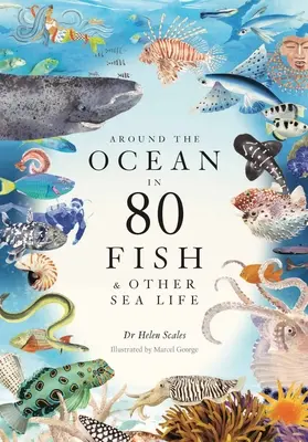 Autour de l'océan en 80 Poissons et autres formes de vie marine - Around the Ocean in 80 Fish and Other Sea Life