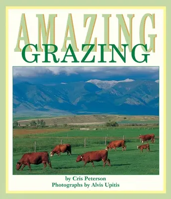 Un pâturage étonnant - Amazing Grazing