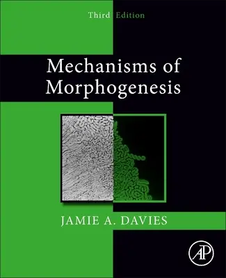 Mécanismes de la morphogenèse - Mechanisms of Morphogenesis