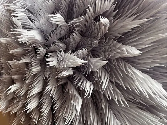 Japon : Body Perform Live - Japan: Body Perform Live